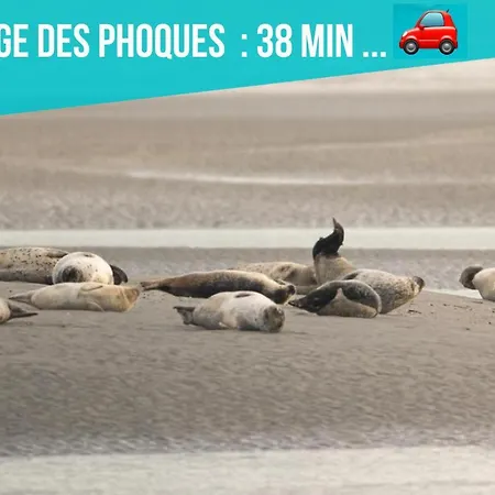 Les Penates De * Camiers
